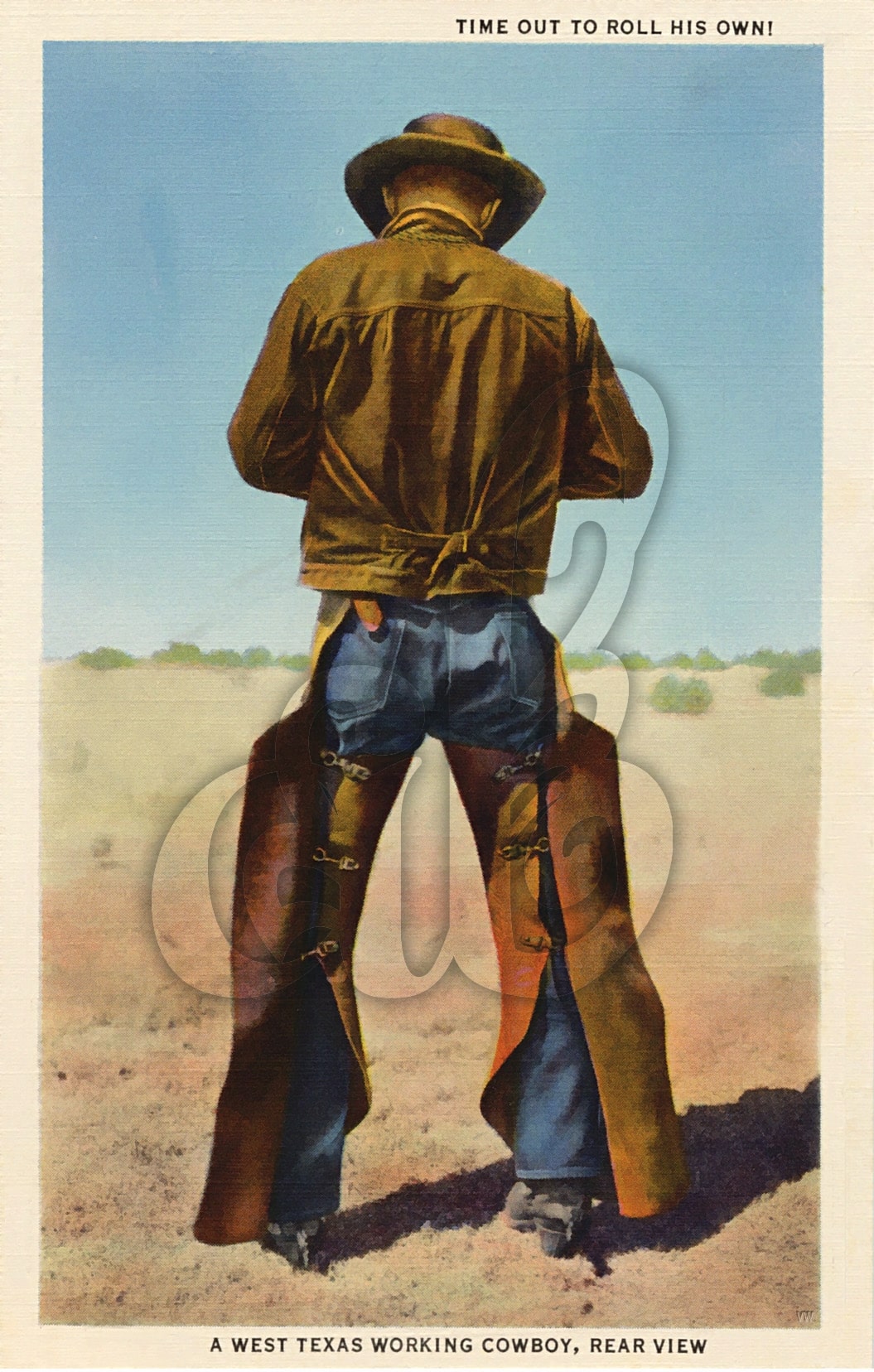 Texas Cowboy Postcard • Amy Barickman