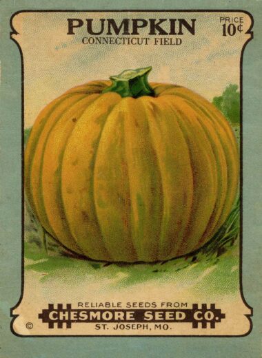 Vintage Seed Packet of Pumpkin