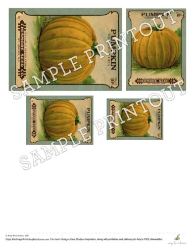 Sample of pumpkin seed download