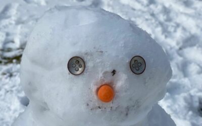 Joy of Making a Snowman